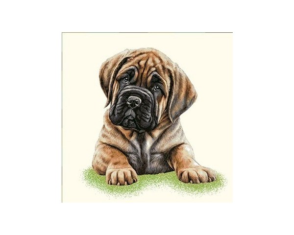 FUNDA DE COJÍN GOBELINO, DOBLE CARA, DISEÑO DE PERRO MASTIFF CALLUM POSE, 45 X 45 CM.