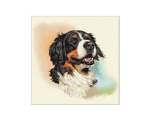 FUNDA DE COJÍN GOBELINO, DOBLE CARA, DISEÑO DE PERRO BOYERO RUFINO POSE, 45 X 45 CM.