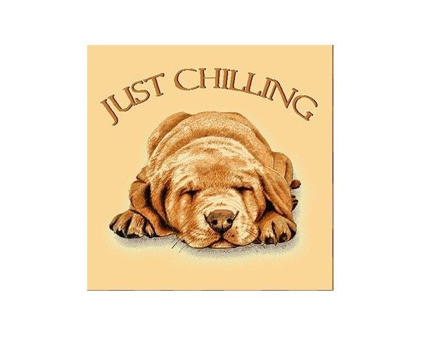 FUNDA DE COJÍN GOBELINO, UNA CARA, DISEÑO DE PERRO MASTIFF JUST CHILLING, 45 X 45 CM.