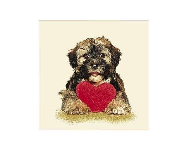FUNDA DE COJÍN GOBELINO, DOBLE CARA, DISEÑO DE PERRO SCHNOODLE CORAZÓN, 45 X 45 CM.