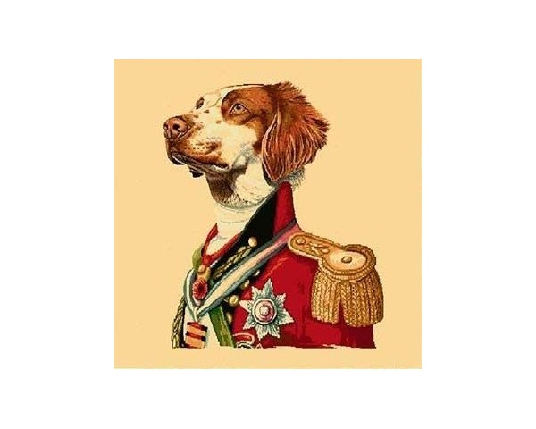 FUNDA DE COJÍN GOBELINO, DOBLE CARA, DISEÑO DE PERRO SETTER MILITAR, 45 X 45 CM.