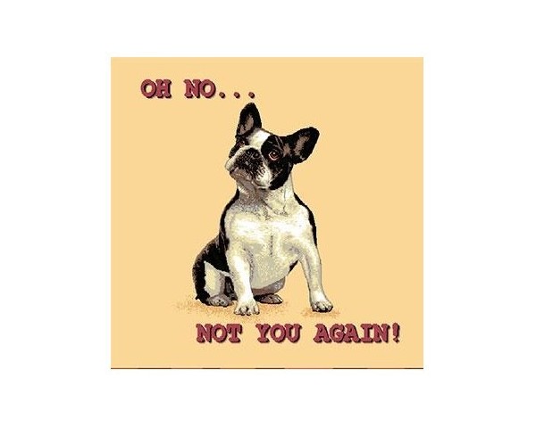 FUNDA DE COJÍN GOBELINO, UNA CARA, DISEÑO DE PERRO BULLDOG FRANCÉS OH NO… NOT YOU AGAIN, 45 X 45 CM.