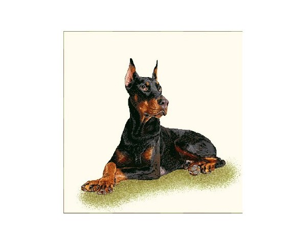 FUNDA DE COJÍN GOBELINO, UNA CARA, DISEÑO DE PERRO ROTTWEILER FLOID POSE, 45 X 45 CM.