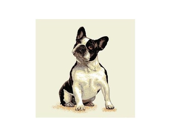FUNDA DE COJÍN GOBELINO, UNA CARA, DISEÑO DE PERRO BULLDOG FRANCÉS ANTOINE POSE, 45 X 45 CM.