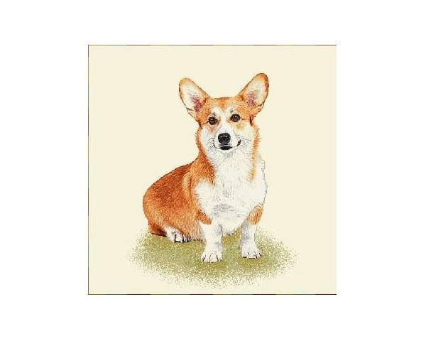 FUNDA DE COJÍN GOBELINO, UNA CARA, DISEÑO DE PERRO CORGI WILLIAM POSE, 45 X 45 CM.