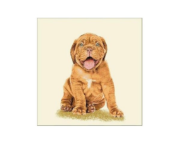 FUNDA DE COJÍN GOBELINO, UNA CARA, DISEÑO DE PERRO BULLDOG ANDY POSE, 45 X 45 CM.