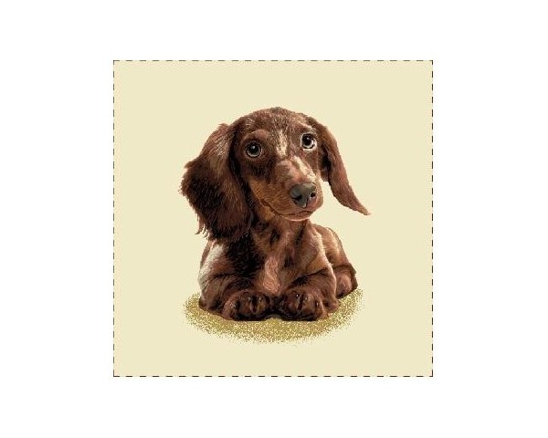 FUNDA DE COJÍN GOBELINO, UNA CARA, DISEÑO DE PERRO TECKEL AKANE POSE, 45 X 45 CM.
