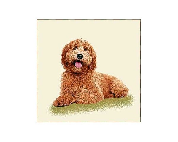 FUNDA DE COJÍN GOBELINO, UNA CARA, DISEÑO DE PERRO PERRO DE AGUA JACKSON POSE, 45 X 45 CM.