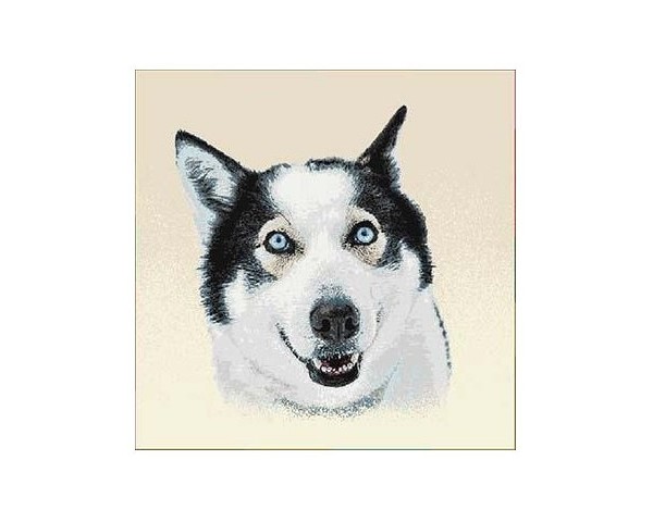 FUNDA DE COJÍN GOBELINO, UNA CARA, DISEÑO DE PERRO JACKY, 45 X 45 CM.