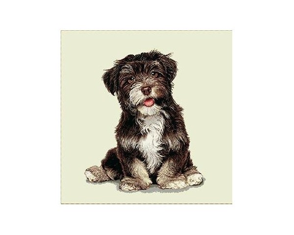 FUNDA DE COJÍN GOBELINO, UNA CARA, DISEÑO DE PERRO SCHNOODLE LUCAS POSE, 45 X 45 CM.