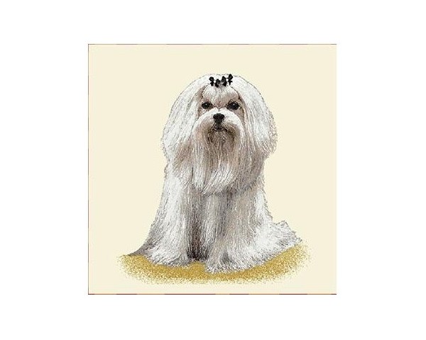 FUNDA DE COJÍN GOBELINO, UNA CARA, DISEÑO DE PERRO BICHÓN MALTÉS LILY POSE, 45 X 45 CM.