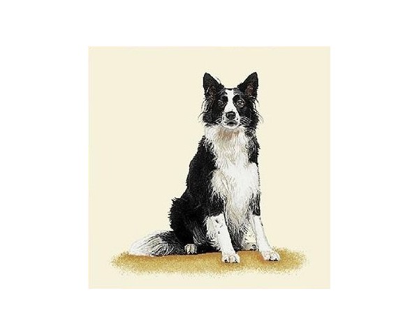 FUNDA DE COJÍN GOBELINO, UNA CARA, DISEÑO DE PERRO COLLIE JOE POSE, 45 X 45 CM.