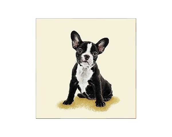 FUNDA DE COJÍN GOBELINO, UNA CARA, DISEÑO DE PERRO BULLDOG FRANCÉS OSCAR POSE, 45 X 45 CM.