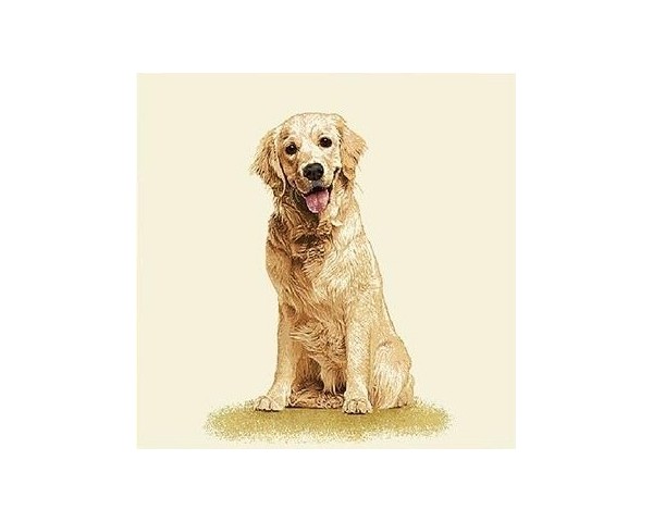 FUNDA DE COJÍN GOBELINO, UNA CARA, DISEÑO DE PERRO LABRADOR DAMIAN POSE, 45 X 45 CM.