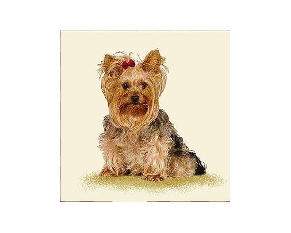 FUNDA DE COJÍN GOBELINO, UNA CARA, DISEÑO DE PERRO YORKSHIRE SOPHIE POSE LAZO ROJO, 45 X 45 CM.