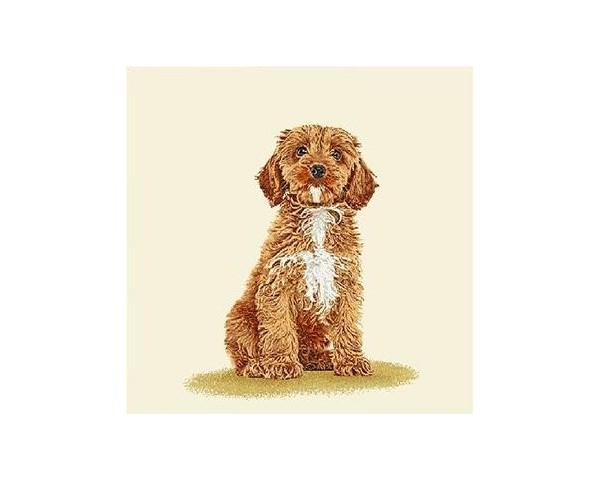 FUNDA DE COJÍN GOBELINO, UNA CARA, DISEÑO DE PERRO DE AGUA JAKE POSE, 45 X 45 CM.