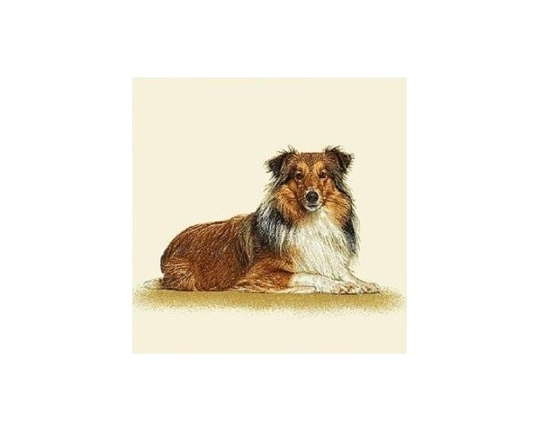 FUNDA DE COJÍN GOBELINO, UNA CARA, DISEÑO DE PERRO COLLIE KYLE POSE, 45 X 45 CM.