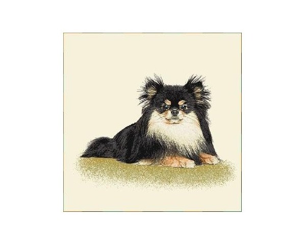 FUNDA DE COJÍN GOBELINO, UNA CARA, DISEÑO DE PERRO SPANIEL PITU POSE, 45 X 45 CM.