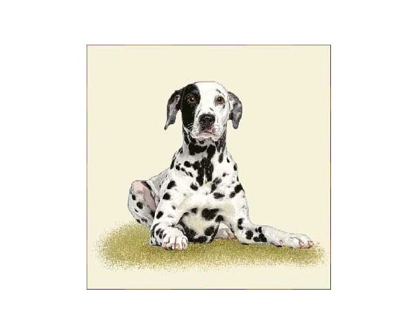 FUNDA DE COJÍN GOBELINO, UNA CARA, DISEÑO DE PERRO DALMATA RONALD POSE, 45 X 45 CM.