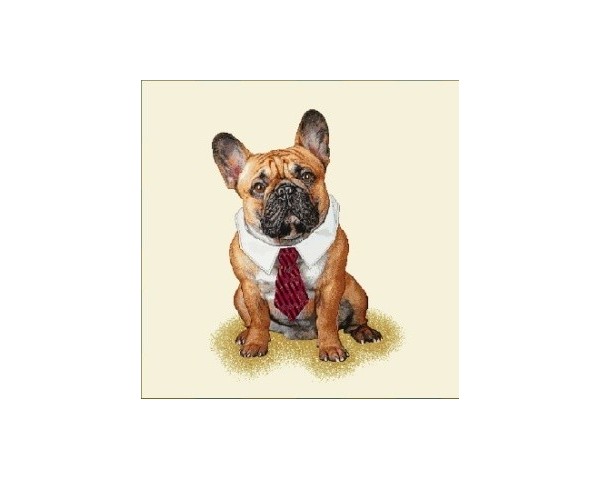 FUNDA DE COJÍN GOBELINO, UNA CARA, DISEÑO DE PERRO BULLDOG FRANCÉS CUELLO CAMISA Y CORBATA ROJA, 45 X 45 CM.