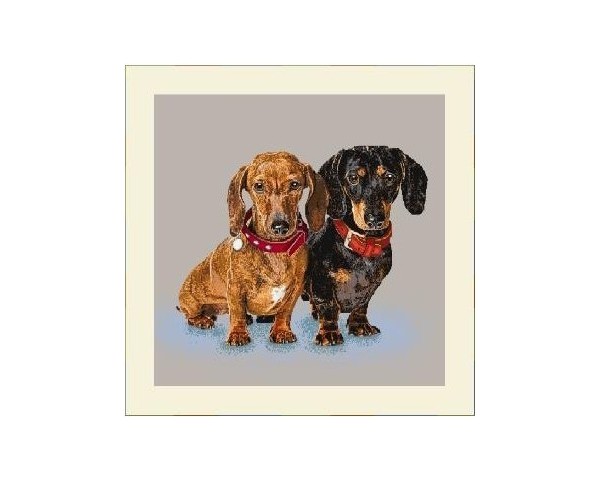 FUNDA DE COJÍN GOBELINO, UNA CARA, DISEÑO DE PERROS TECKEL CHARLIE Y THOMAS COLLARES ROJO, 45 X 45 CM.