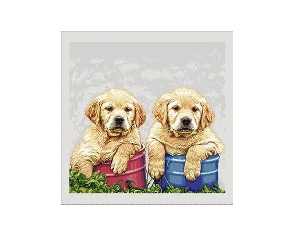 FUNDA DE COJÍN GOBELINO, UNA CARA, DISEÑO DE PERROS LABRADOR REECE Y RHYS CUBOS ROJO AZUL, 45 X 45 CM.