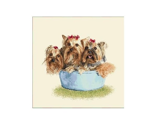 FUNDA DE COJÍN GOBELINO, DOBLE CARA, DISEÑO DE PERROS YORKSHIRE AMELIE, FINA Y LISY EN UN BALDE, 45 X 45 CM.