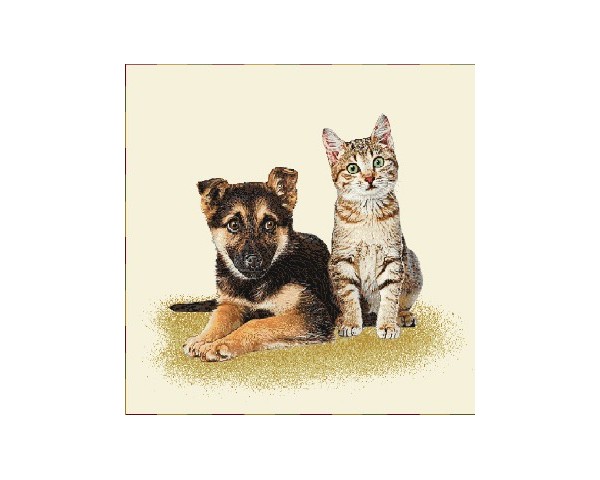 FUNDA DE COJÍN GOBELINO, UNA CARA, DISEÑO DE GATO Y PERRO BENGALI TELMA Y PASTOR ALEMAN ARTHUR EXPECTANTES, 45 X 45 CM.