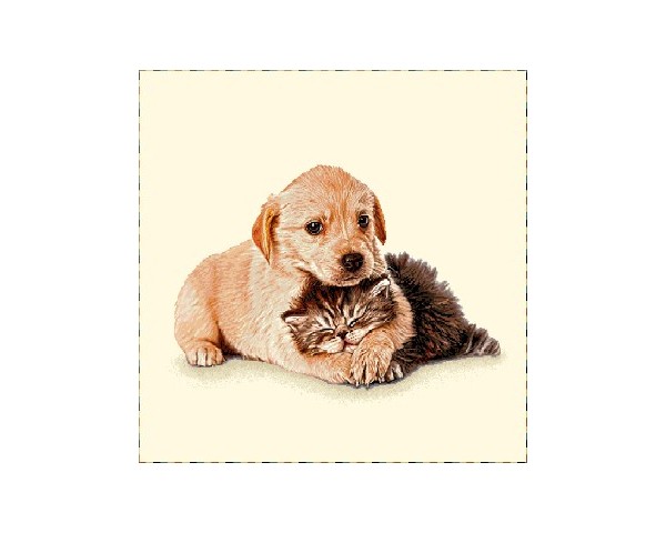 FUNDA DE COJÍN GOBELINO, UNA CARA, DISEÑO DE GATO Y PERRO LABRADOR HARVEY Y LUIS ACHUCHÓN, 45 X 45 CM.