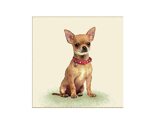 FUNDA DE COJÍN GOBELINO, UNA CARA, DISEÑO DE PERRO CHIHUAHUA COLLAR ROJO, 45 X 45 CM.