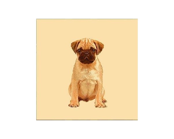 FUNDA DE COJÍN GOBELINO, UNA CARA, DISEÑO DE PERRO CARLINO POSE, 45 X 45 CM.