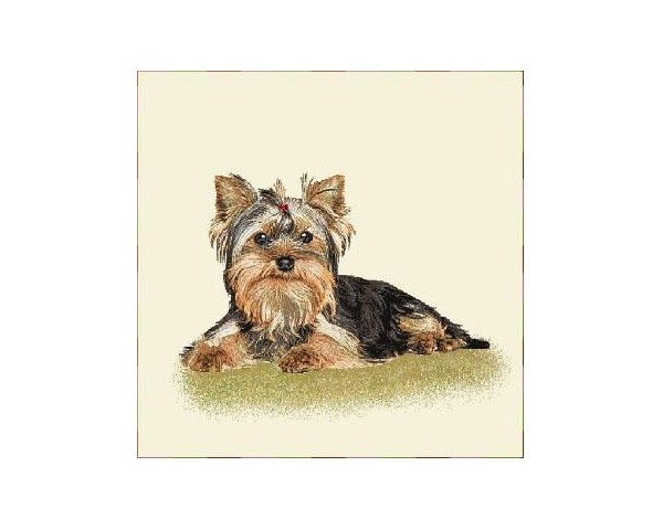 FUNDA DE COJÍN GOBELINO, UNA CARA, DISEÑO DE PERRO YORKSHIRE DESCANSO, 45 X 45 CM.