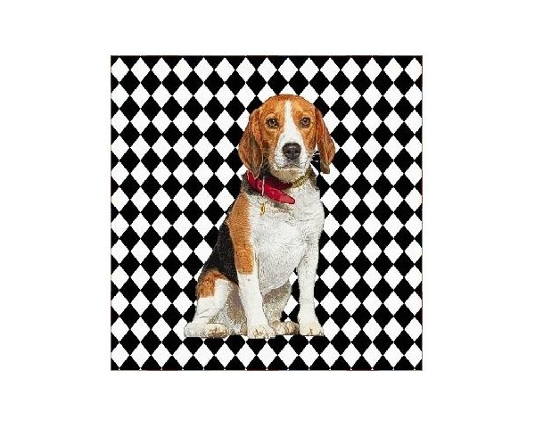 FUNDA DE COJÍN GOBELINO, UNA CARA, DISEÑO DE PERRO BEAGLE DIAMON, 45 X 45 CM.