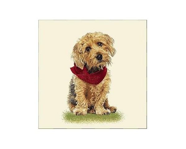 FUNDA DE COJÍN GOBELINO, UNA CARA, DISEÑO DE PERRO SCHNOODLE PAÑUELO, 45 X 45 CM.