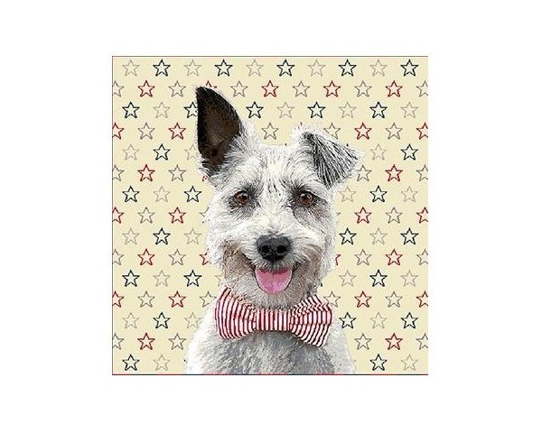 FUNDA DE COJÍN GOBELINO, UNA CARA, DISEÑO DE PERRO SCHNAUZER PAJARITA, 45 X 45 CM.