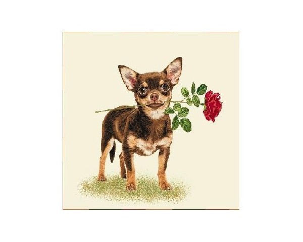 FUNDA DE COJÍN GOBELINO, UNA CARA, DISEÑO DE PERRO CHIHUAHUA ROSA ROJA, 45 X 45 CM.