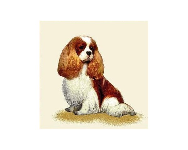 FUNDA DE COJÍN GOBELINO, UNA CARA, DISEÑO DE PERRO CAVALIER POSE, 45 X 45 CM.