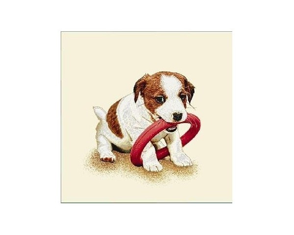 FUNDA DE COJÍN GOBELINO, UNA CARA, DISEÑO DE PERRO FOX TERRIER JUGUETÓN, 45 X 45 CM.