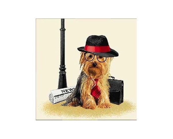 FUNDA DE COJÍN GOBELINO, UNA CARA, DISEÑO DE PERRO YORKSHIRE EJECUTIVO, 45 X 45 CM.