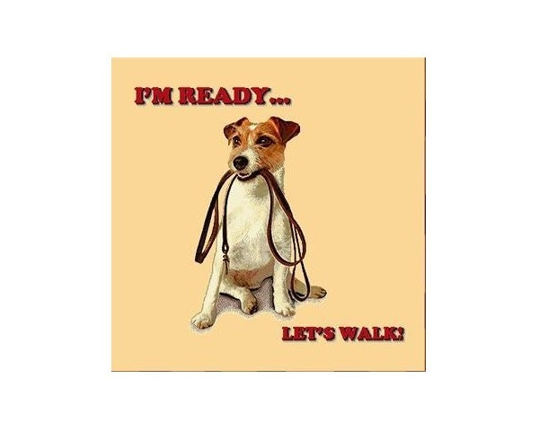 FUNDA DE COJÍN GOBELINO, UNA CARA, DISEÑO DE PERRO FOX TERRIER LET’S WALK, 45 X 45 CM.