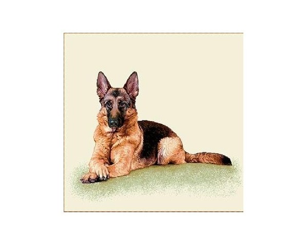 FUNDA DE COJÍN GOBELINO, DOBLE CARA, DISEÑO DE PERRO PASTOR ALEMÁN ALEXANDER POSE, 45 X 45 CM.