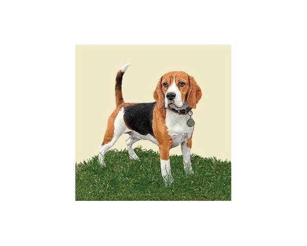 FUNDA DE COJÍN GOBELINO, DOBLE CARA, DISEÑO DE PERRO BEAGLE JAMES POSE, 45 X 45 CM.