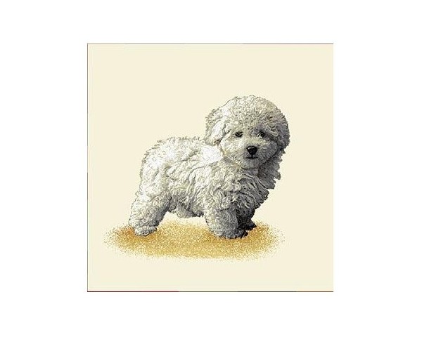 FUNDA DE COJÍN GOBELINO, DOBLE CARA, DISEÑO DE PERRO CANICHE MALTÉS LILY POSE, 45 X 45 CM.